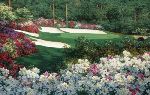 Springtime at Augusta's 13th by Larry Dyke