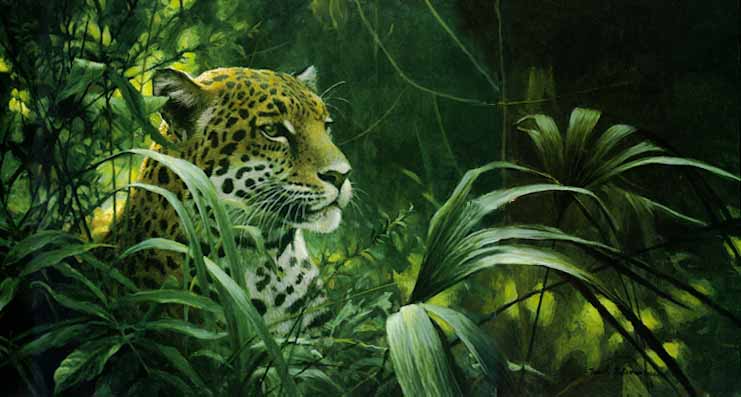 Symbol of the Rainforest - Spotted Jaguar by Robert Bateman