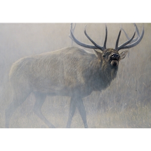 Echoes of Yellowstone - bugling bull elk by John Banovich