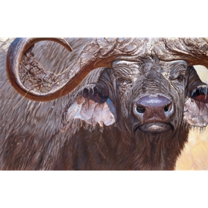 Headdress - portrait of cape buffalo by John Banovich