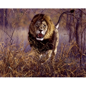Inside the Red Zone - male lion charging by John Banovich