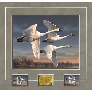 2023 Federal Duck Stamp MEDALLION EDITION - Three Tundra Swans by Joseph Hautman
