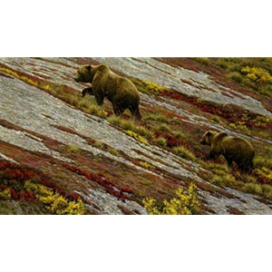 Alaskan Autumn - Grizzly Bears by  Robert Bateman
