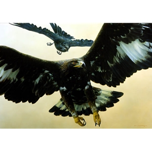 Without Warning - Golden Eagle and Raven by wildlife portrait artist Carl Brenders