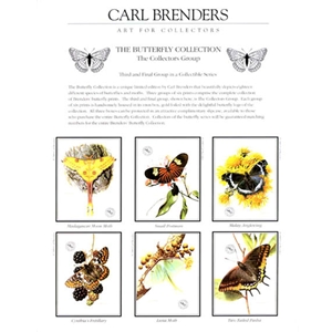 Butterflies - Collectors Group #3 by Carl Brenders
