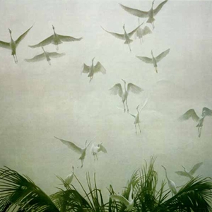 Egrets of the Sacred Grove by Robert Bateman