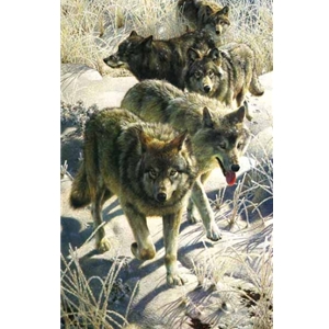 Miles to Go - Wolf pack by wildlife artist Carl Brenders