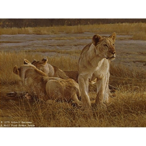 Lions at Dawn by Robert Bateman