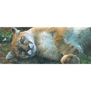 The Good Life - Cougar by wildlife artist Carl Brenders