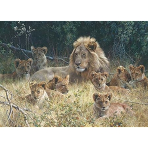 The Babysitter - African Lion with cubs by wildlife artist Carl Brenders