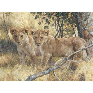 Young Explorers - Lion cubs by wildlife portrait artist Carl Brenders
