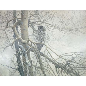 Ghost of the North - Great Gray Owl by Robert Bateman