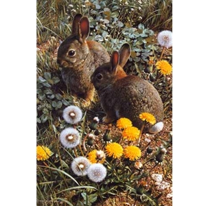 Colorful Playground - Cottontails (rabbits) by wildlife artist Carl Brenders