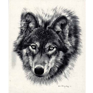 Den Mother Pencil Sketch - Wolf by Carl Brenders
