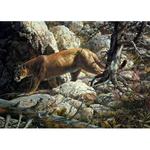 Silent Passage - Cougar by wildlife artist Carl Brenders