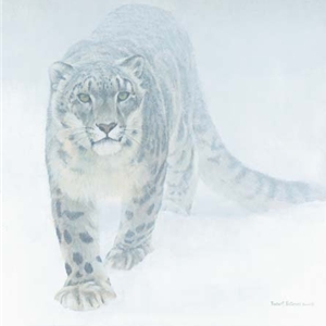 Out of the White - Snow Leopard by Robert Bateman