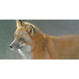 Questing- Red Fox by Robert Bateman