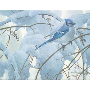 Snowy Morning - Blue Jay by Robert Bateman