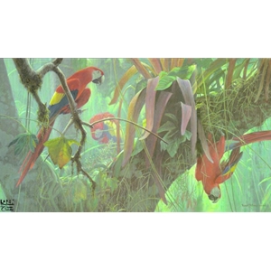 Tropical Canopy - Scarlet Macaws by Robert Bateman