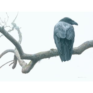 Lone Raven by Robert Bateman