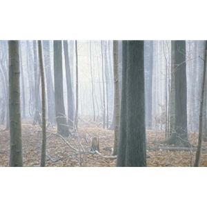 Hardwood Forest by Robert Bateman