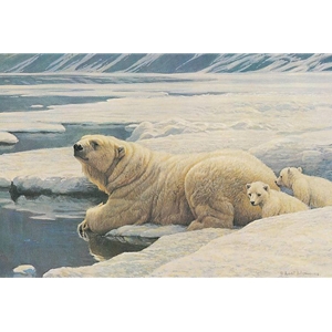 Arctic Family - Polar Bears by Robert Bateman