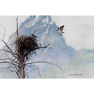 In the Mountains - Osprey by Robert Bateman