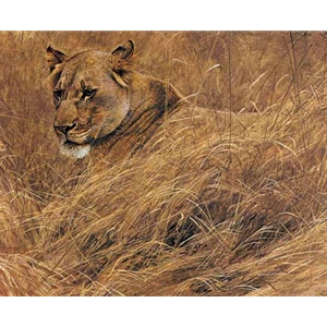 In the Grass - Lioness by Robert Bateman
