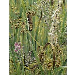 Cattails, Fireweed and Yellowthroat by Robert Bateman