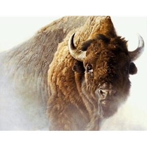 Chief - American Bison by Robert Bateman