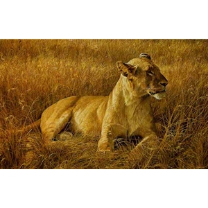 Lioness at Serengeti by Robert Bateman