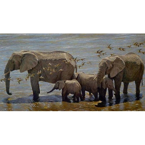Elephant Herd and Sandgrouse by Robert Bateman