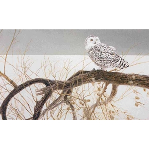 Fallen Willow - Snowy Owl by Robert Bateman