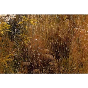 Marginal Meadow by Robert Bateman