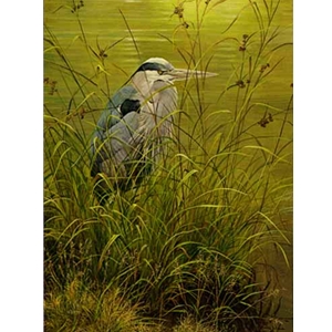 Grassy Bank - Great Blue Heron by Robert Bateman