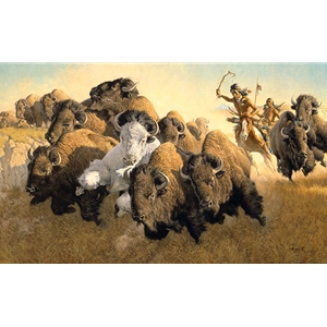 In Pursuit of the White Buffalo by western wildlife artist Frank McCarthy