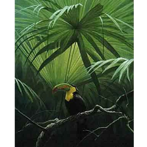 Under the Canopy - Toucan by Robert Bateman