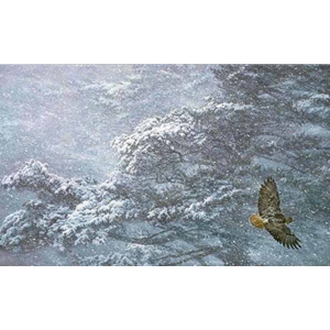 Sudden Blizzard Red-tailed Hawk by Robert Bateman