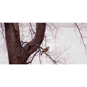 Winter Elm - American Kestrel by Robert Bateman