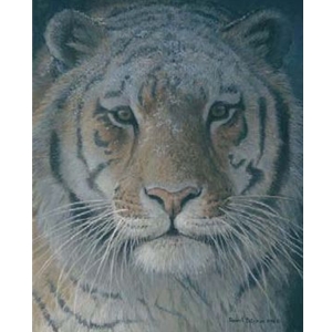 Tiger at Dusk by Robert Bateman