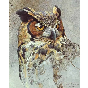 Great Horned Owl Study by Robert Bateman
