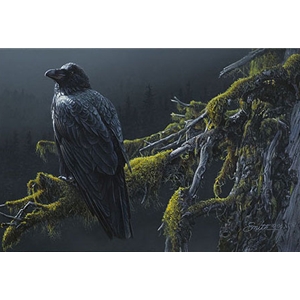 Mountain Sentinel - Raven by Daniel Smith