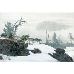 Along the Ridge - Wolves by wildlife artist Rod Frederick