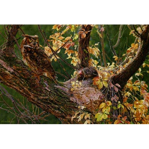Autumn Afternoon - Great Horned Owl by artist John Mullane