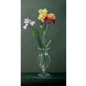 Garden Rainbow - Iris by floral artist Jane Jones