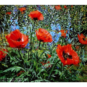 Red Poppies by Peter Ellenshaw