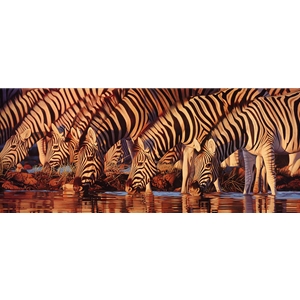 Waterline Zebras by wildlife artist Joshua Spies