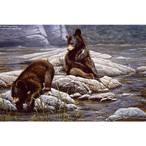 The Adventurers - Black Bear Cubs by artist Paco Young