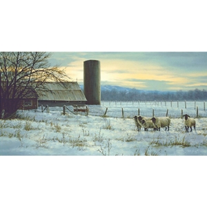 Winter Watch - Sheep on the Ranch by artist Paco Young