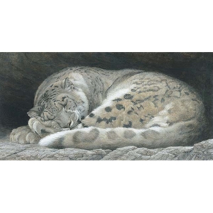 Sleeping - Snow Leopard by Robert Bateman